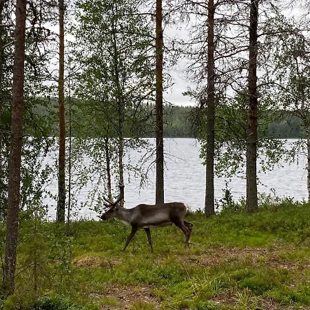 In By The Rovaniemi