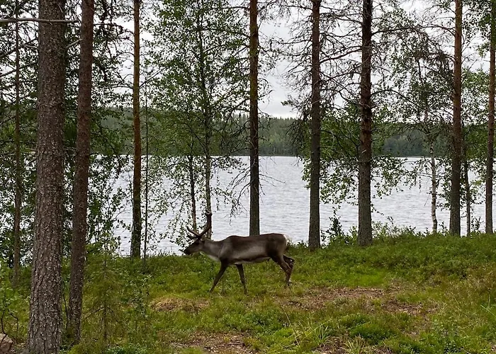 In By The Рованиеми